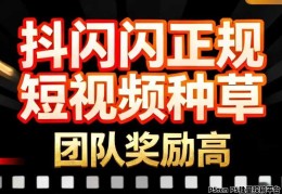 抖闪闪2.0 版，自动发漫剧看浏览量赚米