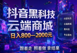 互联网翻身捷径路之抖音黑科技快手人气涨粉点赞云端商城项目+脚本卡密虚拟资源库赛道